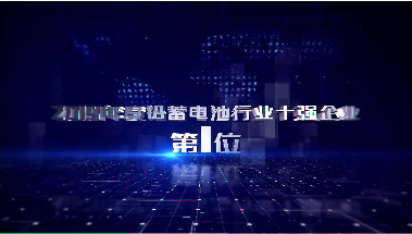 <b>天能2020成绩单，斩获多项行业第一！</b>