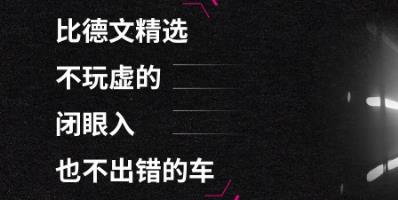 <b>比德文︱年度爆款车型推荐，这六款车绝对物有所值！</b>