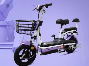 <b>赛克迈乐2，强劲动力，持久续航，骑行更便捷！</b>