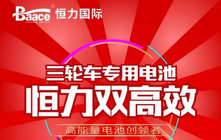 <b>双高效电池！恒力品牌能赚钱，省事又省心！</b>