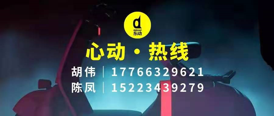 <b>「打破平庸」胡淞嵛，以全新理念操盘东动电动车！</b>